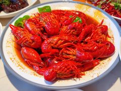 -杨氏青龙虾·羊蝎子(珠江路店)