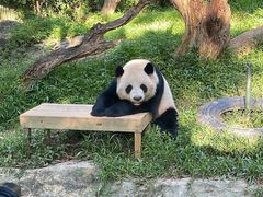 -广州长隆野生动物世界