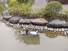 -梧桐人家中国太平国际健康颐养社区