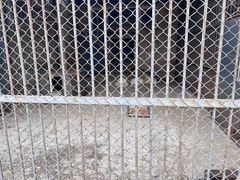 -哈尔滨北方森林动物园