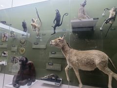 -国家自然博物馆