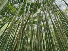 -敬亭山风景名胜区