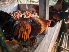 -大润发(鹤山店)