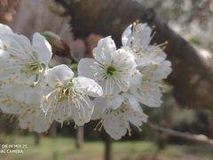 -贵阳市花溪国家城市湿地公园