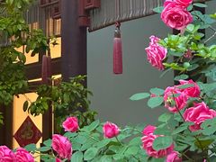 -祝家花園(伯渎港店)