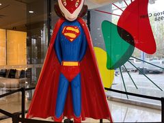 -红星美凯龙北京至尊MALL(东四环中路店)