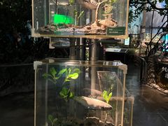 -中国湿地博物馆