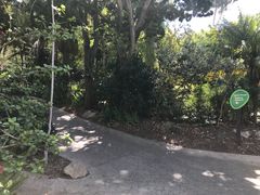 -圣地亚哥动物园