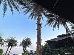 -木屋烧烤(惠阳华润小径湾店)