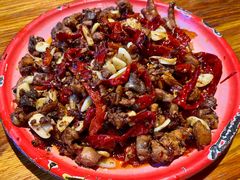 -柴窝堡22号辣子鸡·传承新疆菜