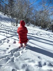 -大秃顶子山