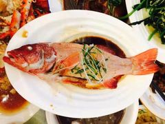 清蒸大红斑-同庆楼(滨湖万达广场店)