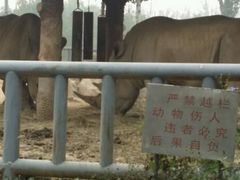 -石家庄市动物园