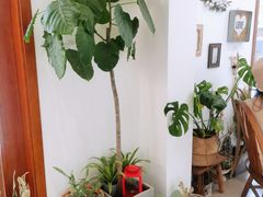 -AHAVA·Fang Baking Studio