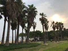 -胡里山炮台