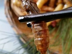 -昆虫窝子·特色云南菜(拓东路总店)
