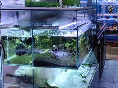 -双季花艺园艺市场(浦东店)