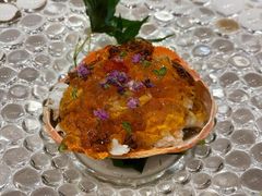 -桂马·日本料理·海胆·海鲜饭·酒场(民主广场店)