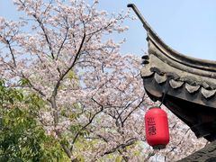 -尚贤河湿地
