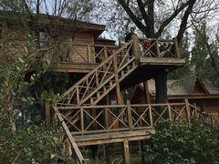 -武清南湖绿博园