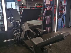 -金吉鸟健身游泳