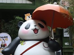 -轩客会(熊猫书店)
