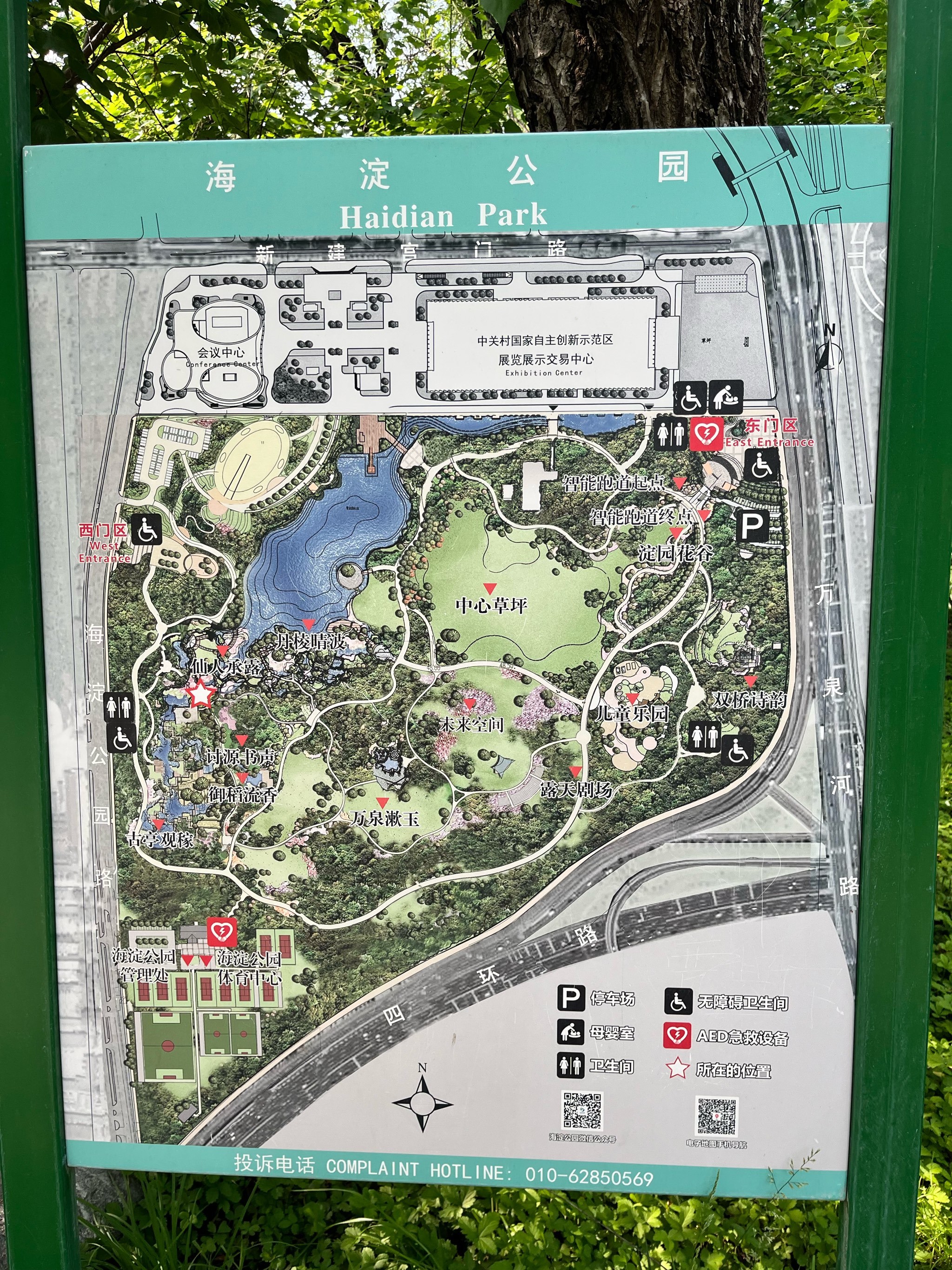 太好逛的公园,大草坪,海淀公园变身莫奈花园