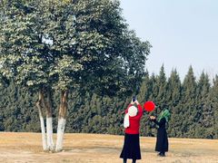 -汉长安城未央宫国家考古遗址公园