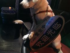 -小岛98(小岛酒吧)