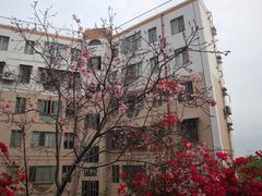 -小南山公园