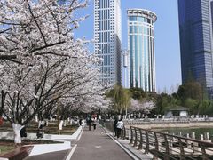 -西北湖绿化广场