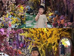 -正佳雨林生态植物园