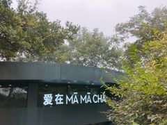 -MAMACHA妈妈茶(岳麓山店)