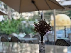 -LE MISSMORE餐酒吧(茉念西里店)
