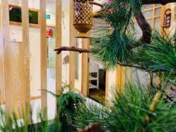 -芳朵美容养生SPA