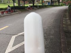 -东方绿舟景区