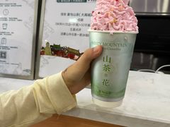 -雾与山茶(大禹城店)