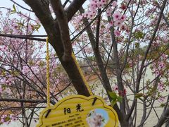 -武汉紫薇都市田园