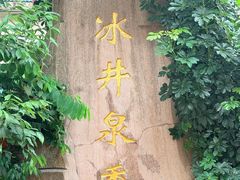 -冰泉豆浆馆(白云山总店)