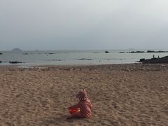 -海合安青岛极地海洋公园