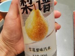 -小吊梨汤·北京菜·烤鸭(鸟巢店)