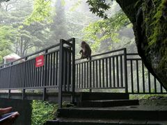 -西岭雪山大飞水景区