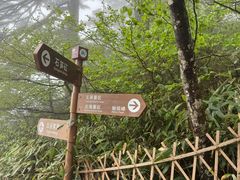 -黄山白云宾馆