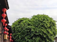 -三坊七巷历史文化街区