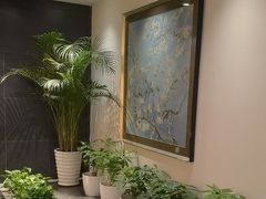 -黑松白鹿(金融街店)