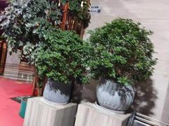 -美姿水荟美食水疗