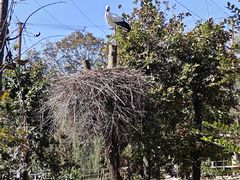 -哈尔滨北方森林动物园