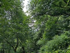 -秦岭终南山世界地质公园翠华山景区