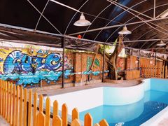 -柴犬高等学院·狗咖·柴犬售卖·宠物训练