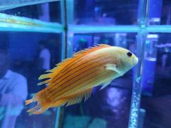 -荆州中山公园动物园